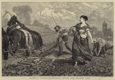 カントリーノート、ジャガイモ収穫後の悲惨 作： William III Bromley